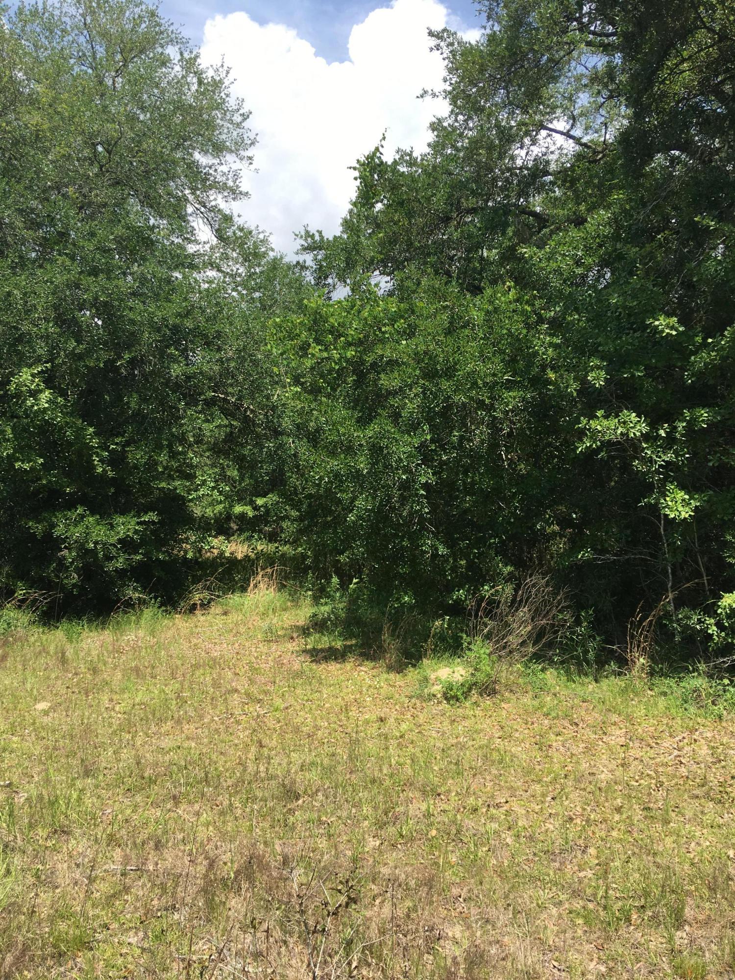 1851 Sharon Road Graceville, FL 32440 - Photo 2 of 6