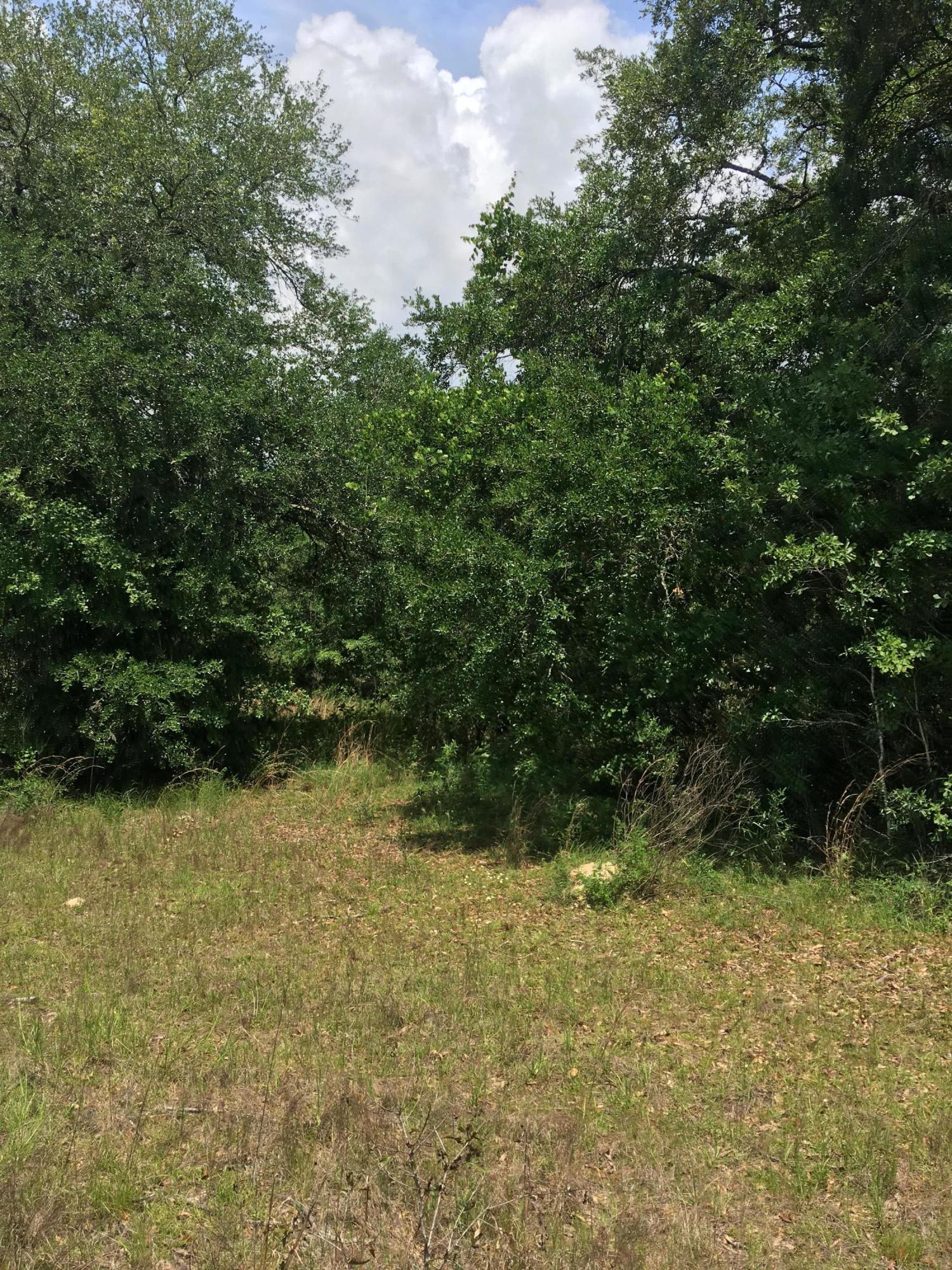 1851 Sharon Road Graceville, FL 32440 - Photo 3 of 6
