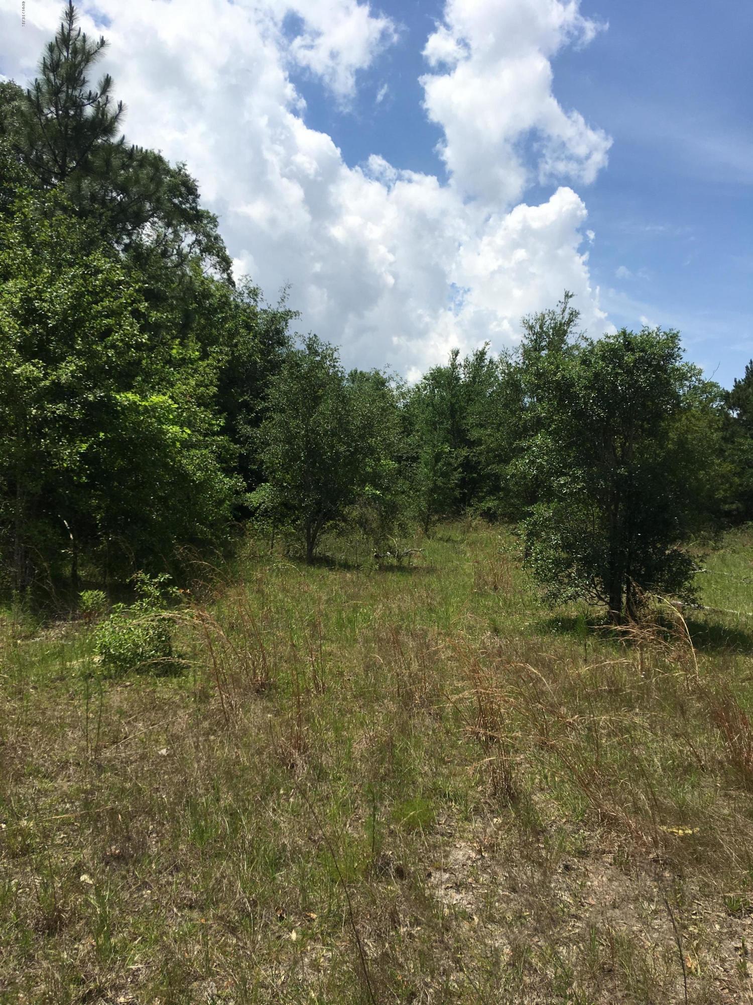 1851 Sharon Road Graceville, FL 32440 - Photo 4 of 6