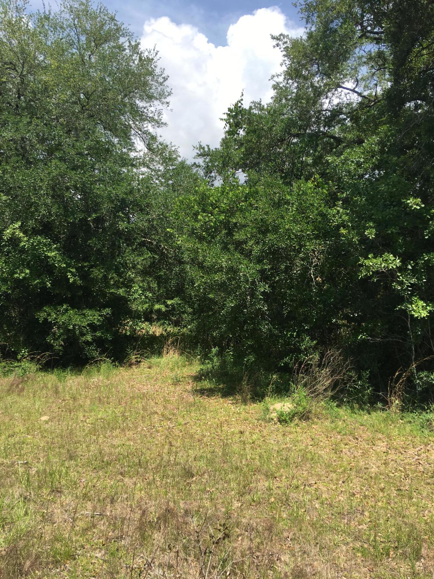 1851 Sharon Road Graceville, FL 32440 - Photo 6 of 6