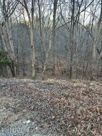 $20,000 | 124 Old Hearth, La Follette, TN 37766