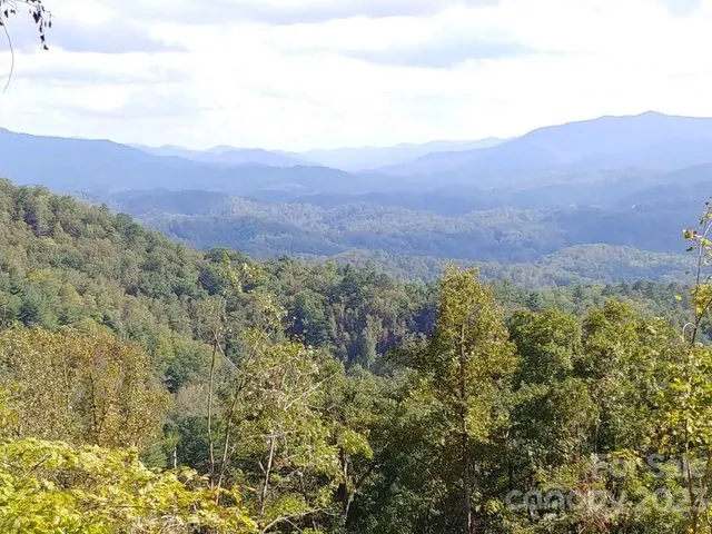a view of a lush green field with mountains in the background