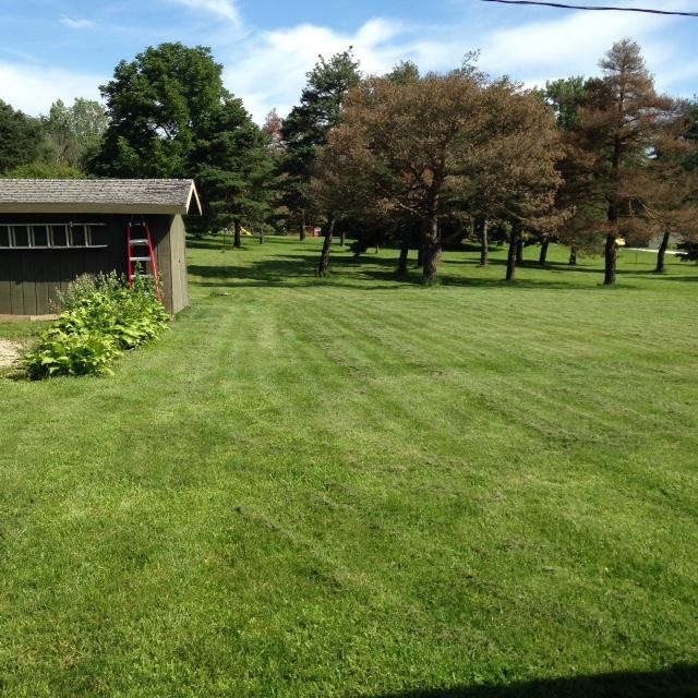 6344 Duffy Road Delaware, OH 43015 - Photo 8 of 15 Gallery Image 8