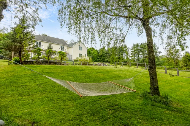 a view of a field with a tree