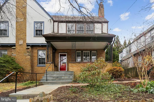 a view of a flower in a garden