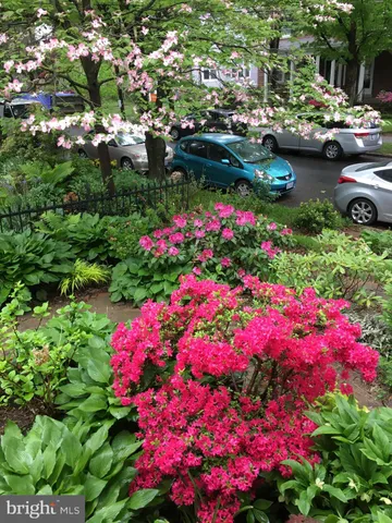 a living room with furniture fireplace and window