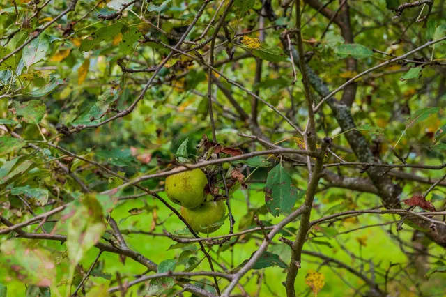 $199,000 | 398 Valley View Road, Hartford, VT 05001