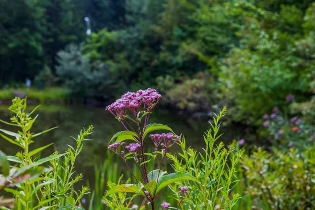 $199,000 | 398 Valley View Road, Hartford, VT 05001