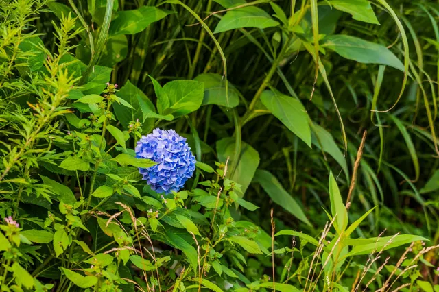 $199,000 | 398 Valley View Road, Hartford, VT 05001