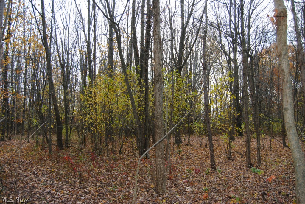 7400 Chippewa Road Lodi, OH 44254 - Photo 4 of 8 Gallery Image 4