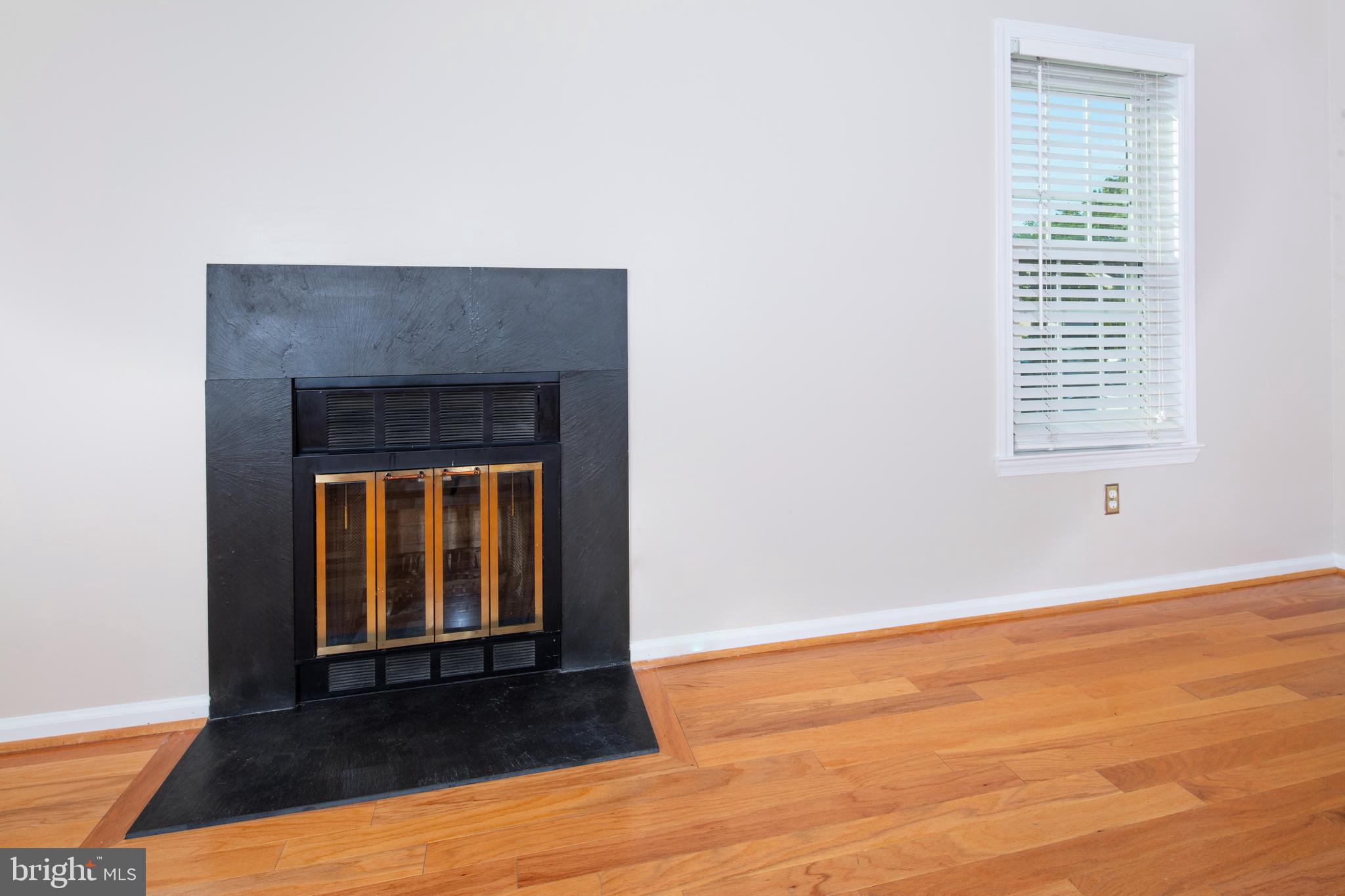 4527 28th Road South, Unit B Arlington, VA 22206 - Photo 9 of 33 Wood burning fireplace
