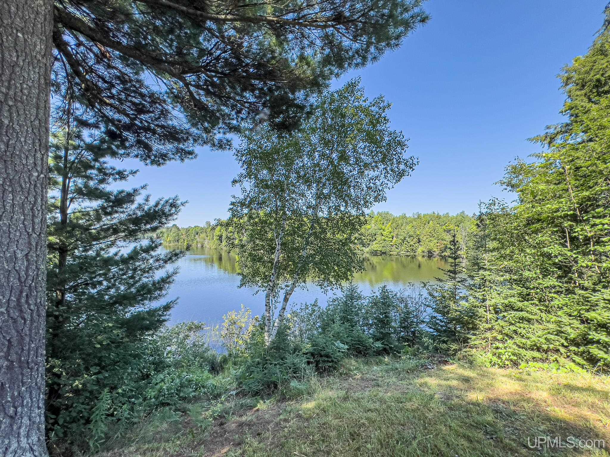 Tbd Tbd Chaney Lake Road Bessemer, MI 49911 - Photo 21 of 22