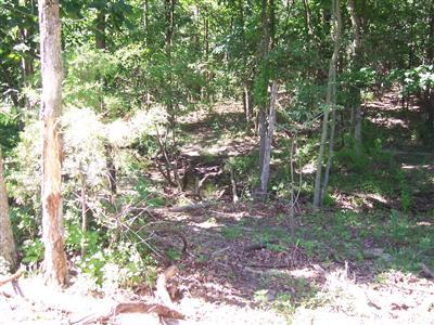0 East 495th Road Half Way, MO 65663 - Photo 1 of 1 Primary Photo