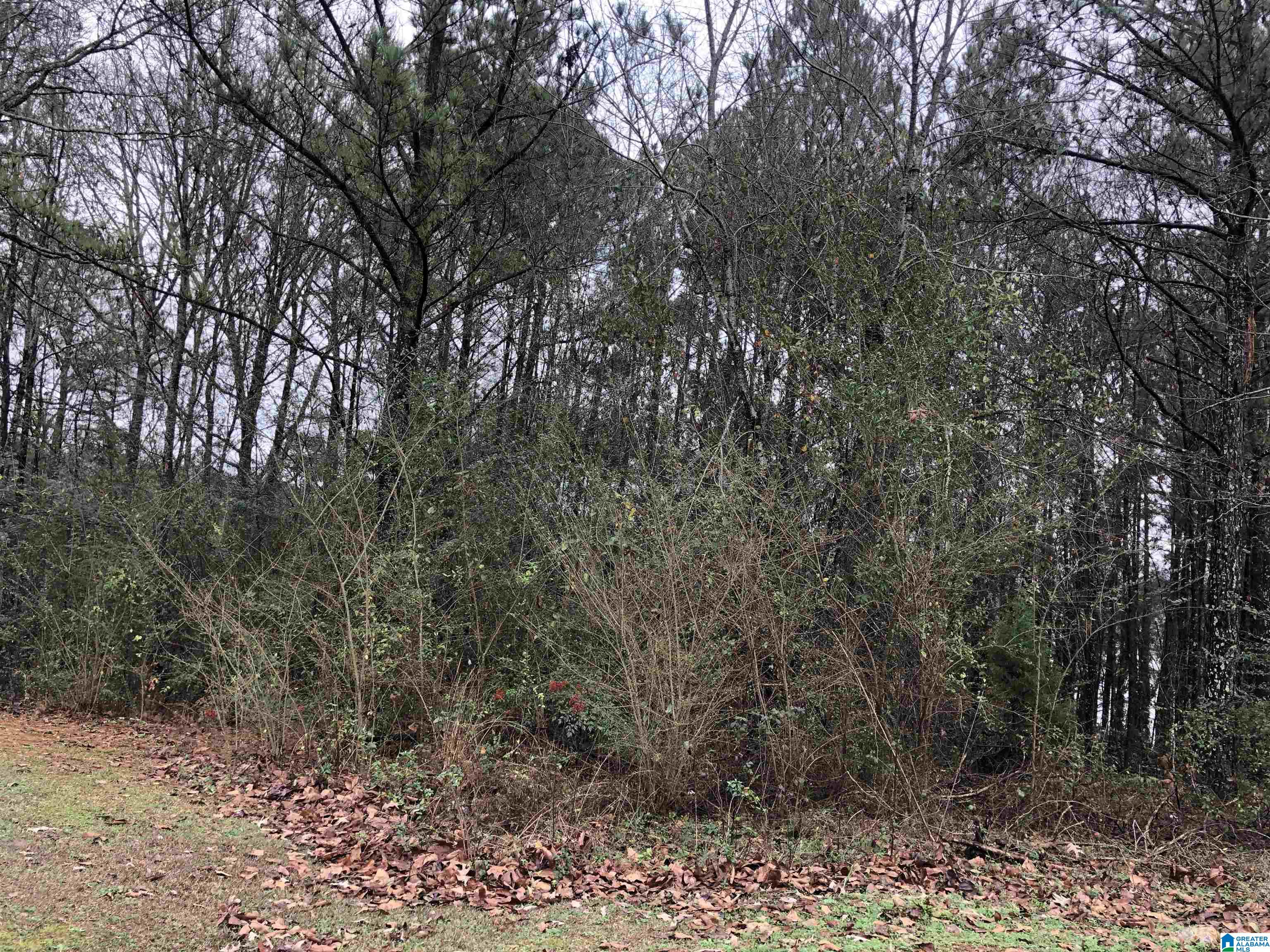 0 Autumn Ridge Trail, Unit 26 Pell City, AL 35128 - Photo 7 of 31
