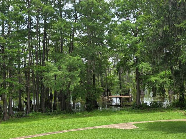 423 Pardee Road Campti, LA 71411 - Photo 6 of 37