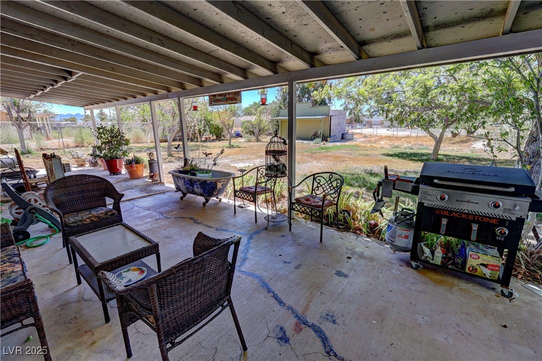 3920 Point Drive Pahrump, NV 89060 - Photo 34 of 45 Back Patio