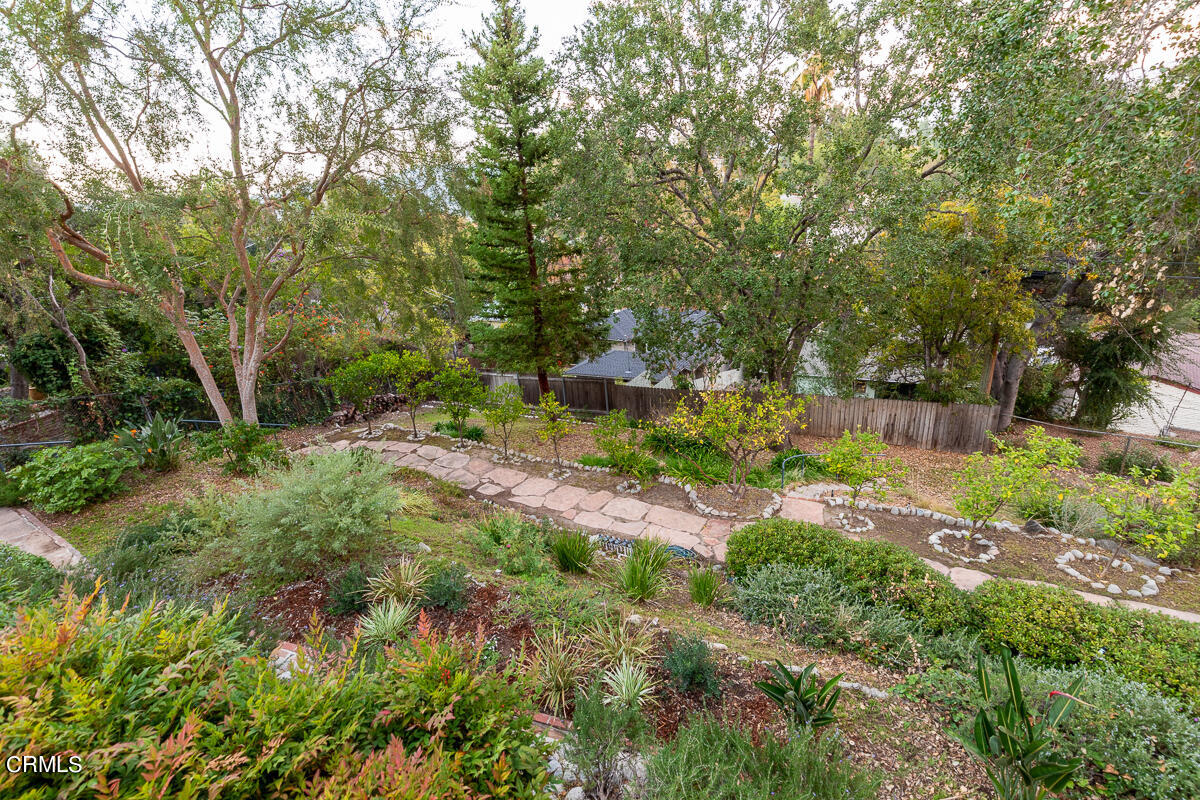 1707 Kaweah Drive Pasadena, CA 91105 - Photo 38 of 41 a view of a garden with plants and large trees