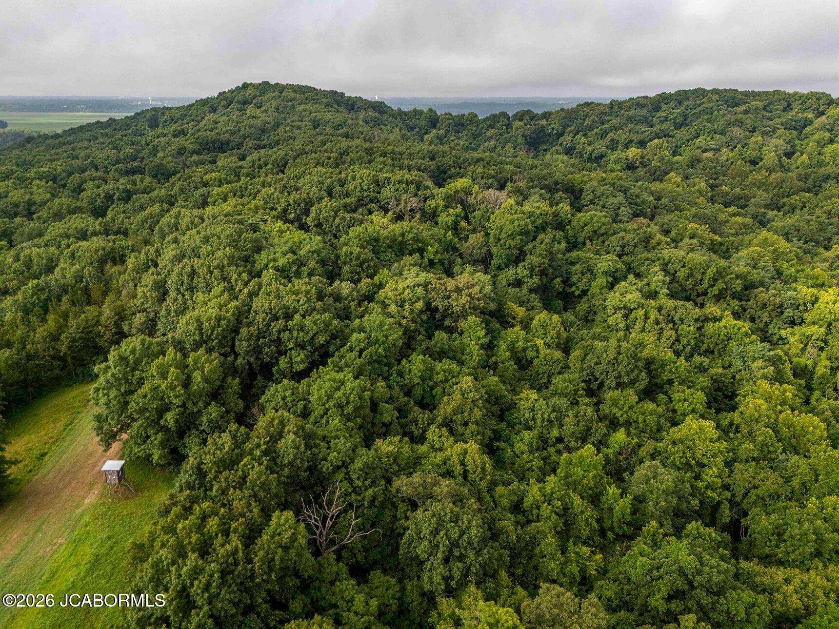 Tbd Talley Road Hartsburg, MO 65039 - Photo 54 of 106