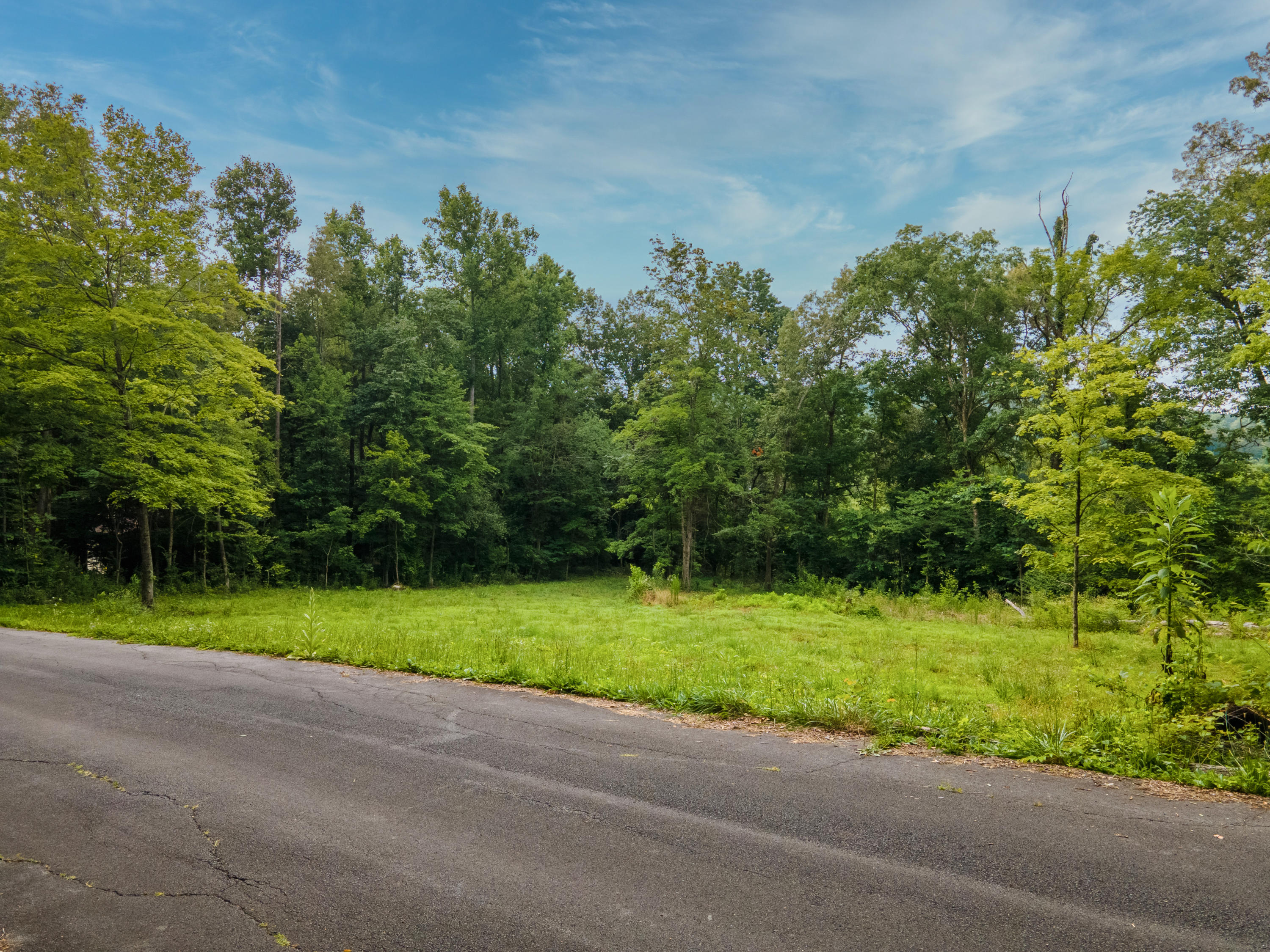DJI_0238-HDR
