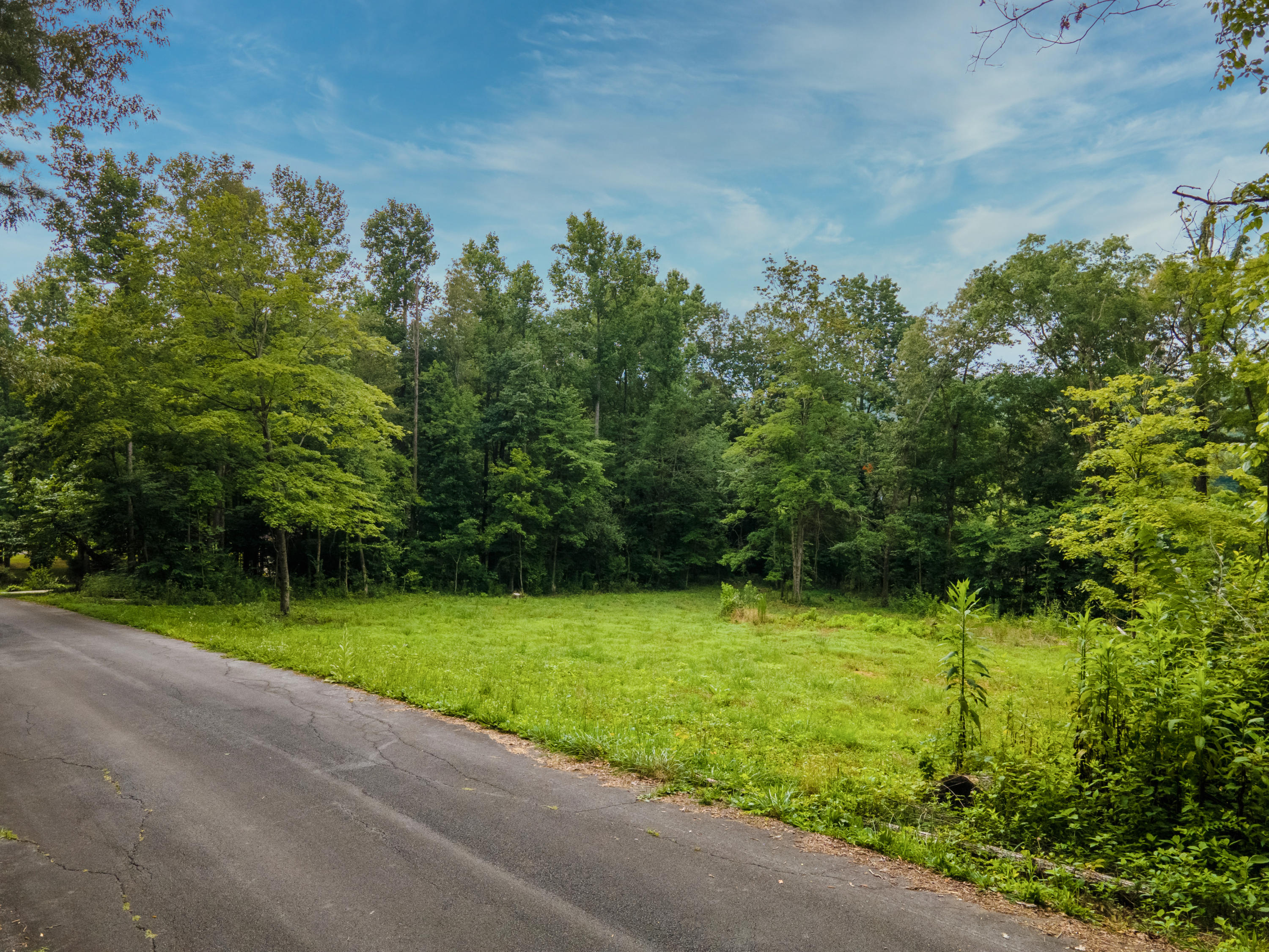 DJI_0233-HDR