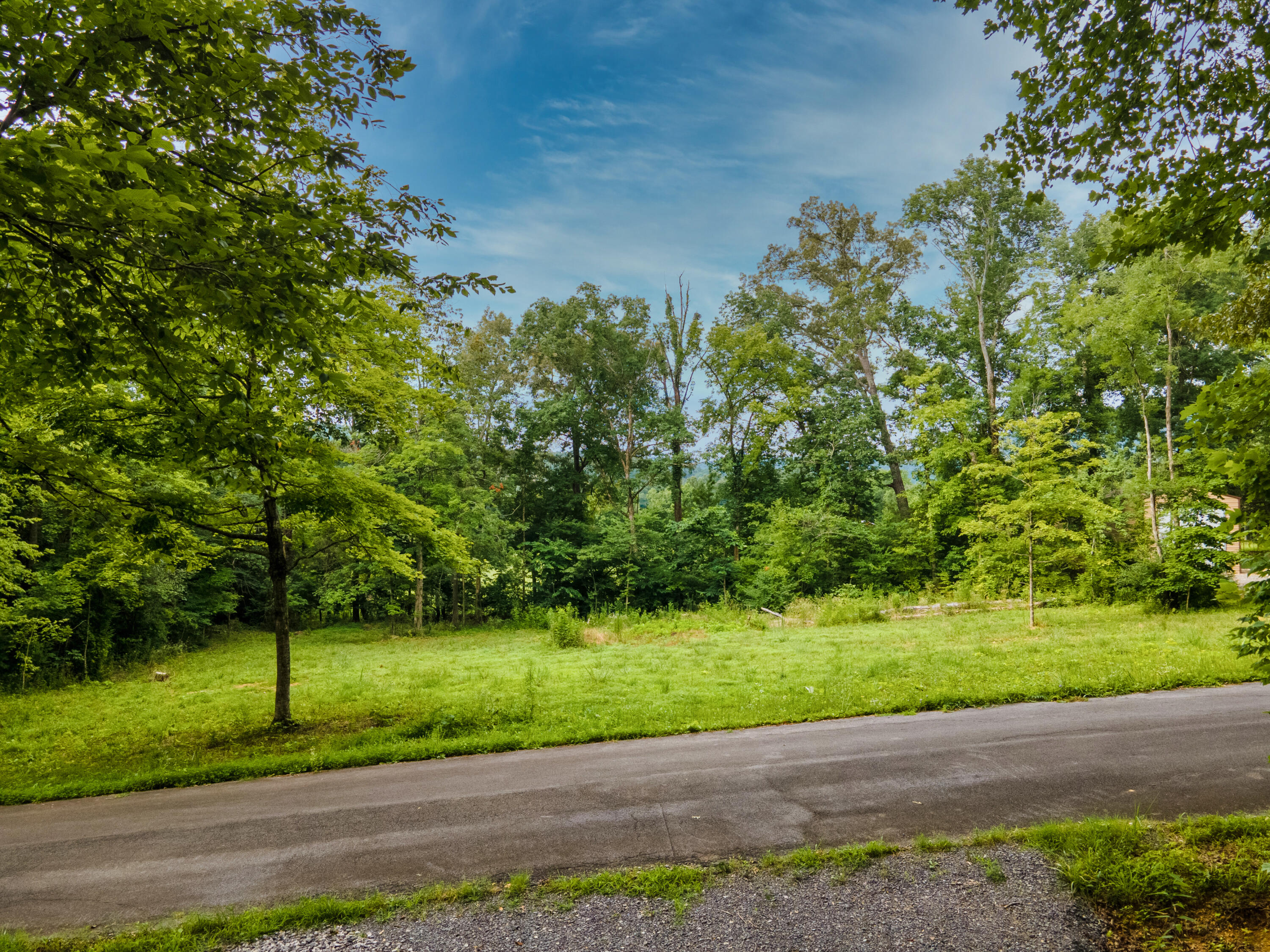 DJI_0203-HDR