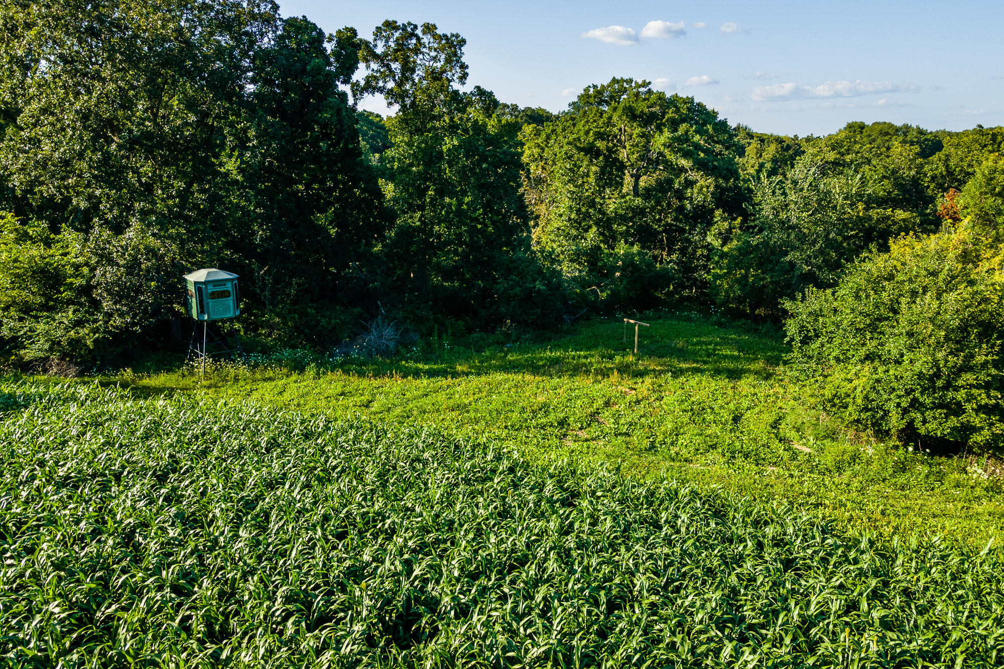 5292 Stenner Hill Road Marion, WI 53805 - Photo 26 of 69 Grant-County-WI-155-Acres-Land-For-Sale-