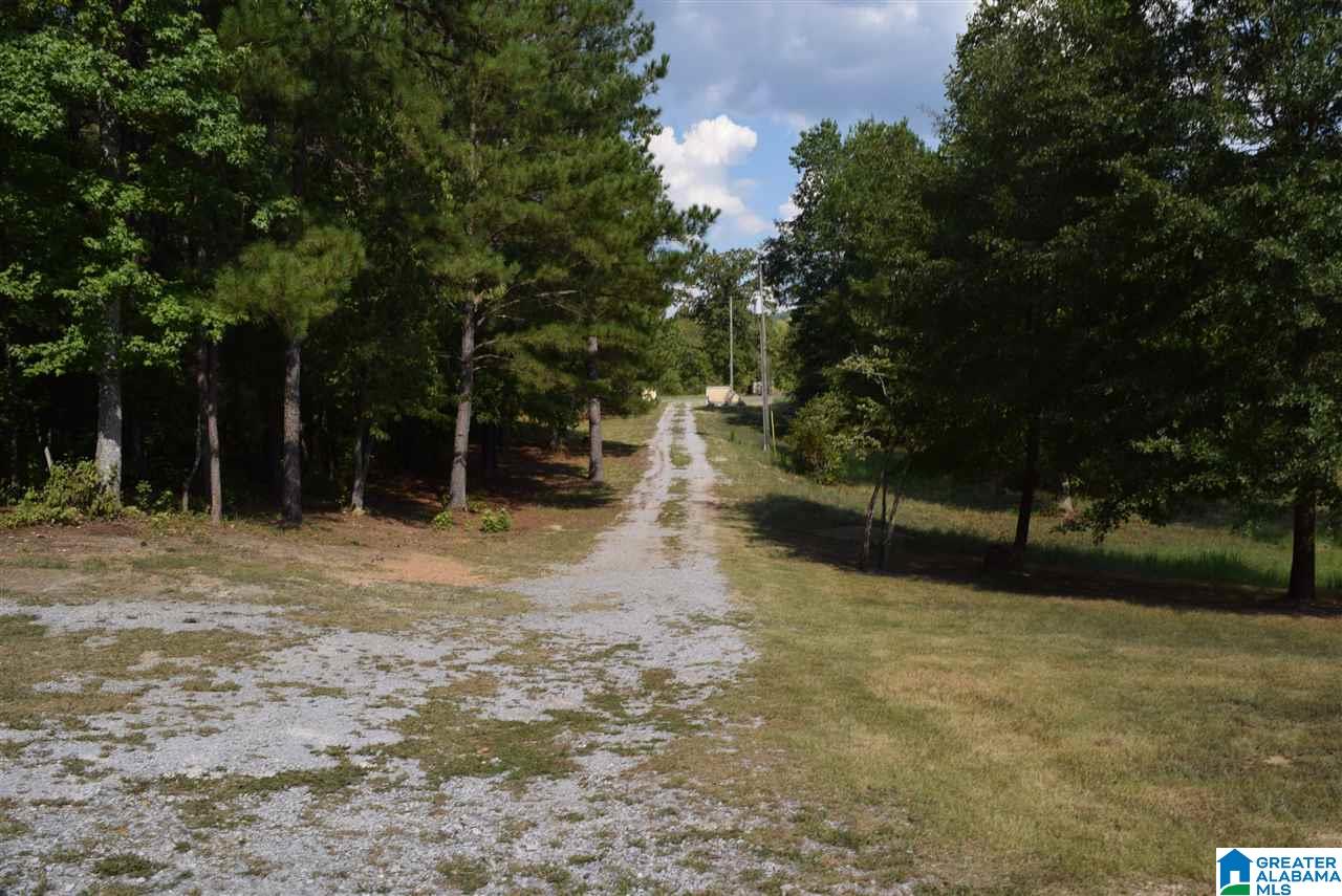 1203 Pine Ridge Road Wellington, AL 36279 - Photo 25 of 28