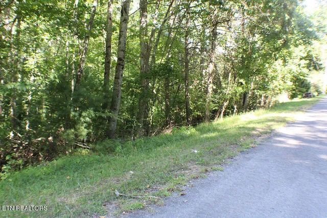 $21,000 | Deer Creek Crossing, Mountain City, TN 37683