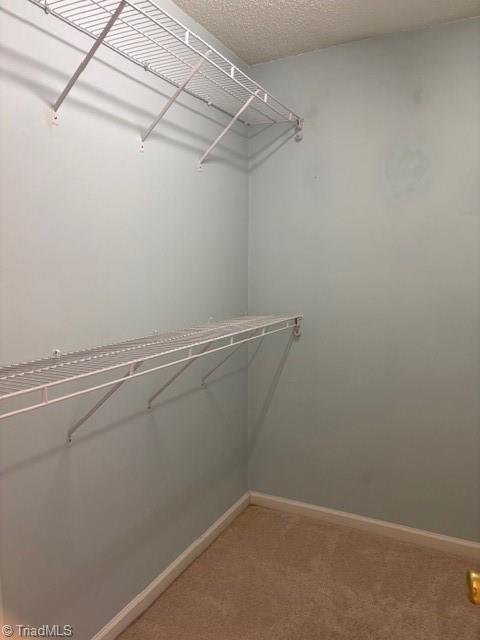 4642 Cross Ridge Lane Greensboro, NC 27410 - Photo 15 of 24 2nd Bedroom Closet