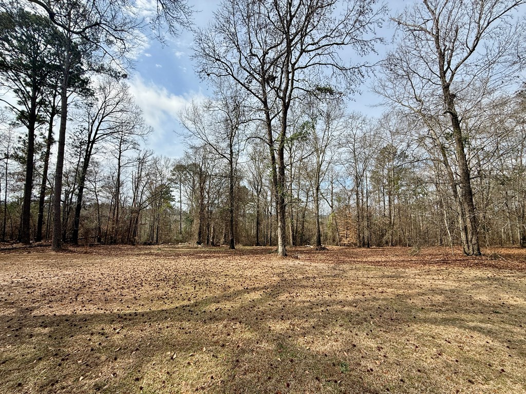 6325 Highway 95 Abbeville, AL 36310 - Photo 7 of 72