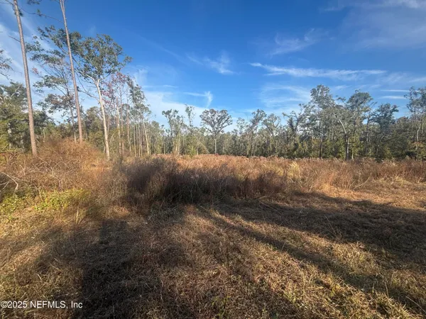 a view of a yard with a tree