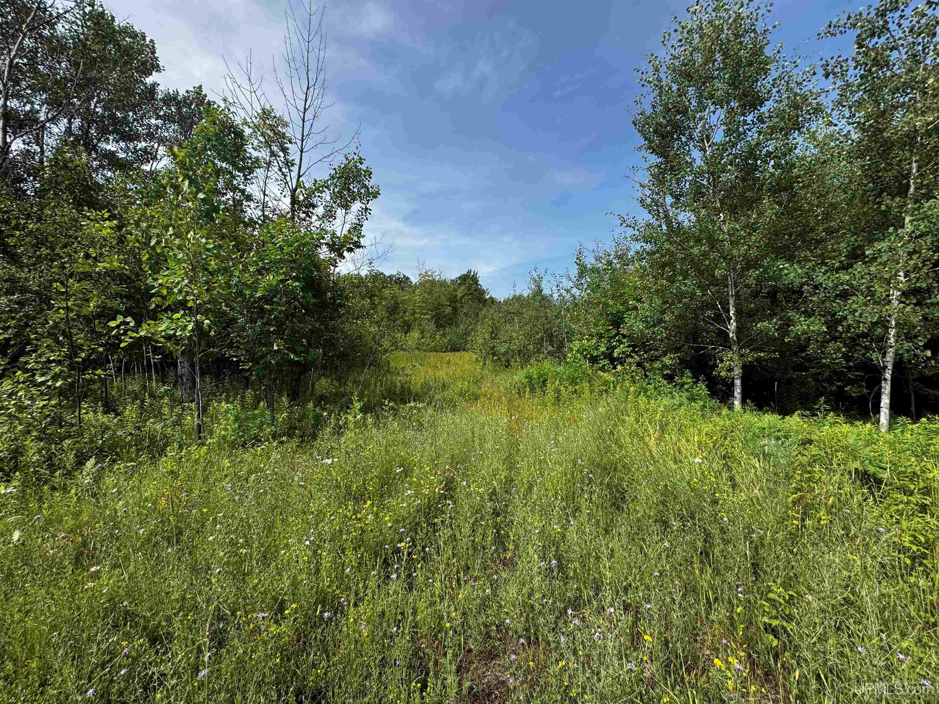 Tbd Beartown Road Baraga, MI 49908 - Photo 1 of 7
