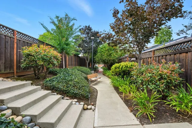 a view of a garden with pathway