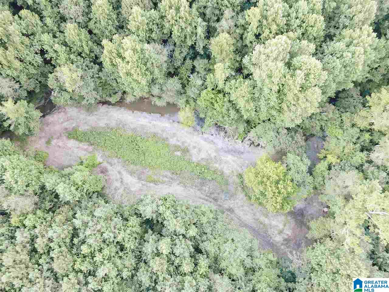 4000 County Road 20 Oneonta, AL 35121 - Photo 16 of 48