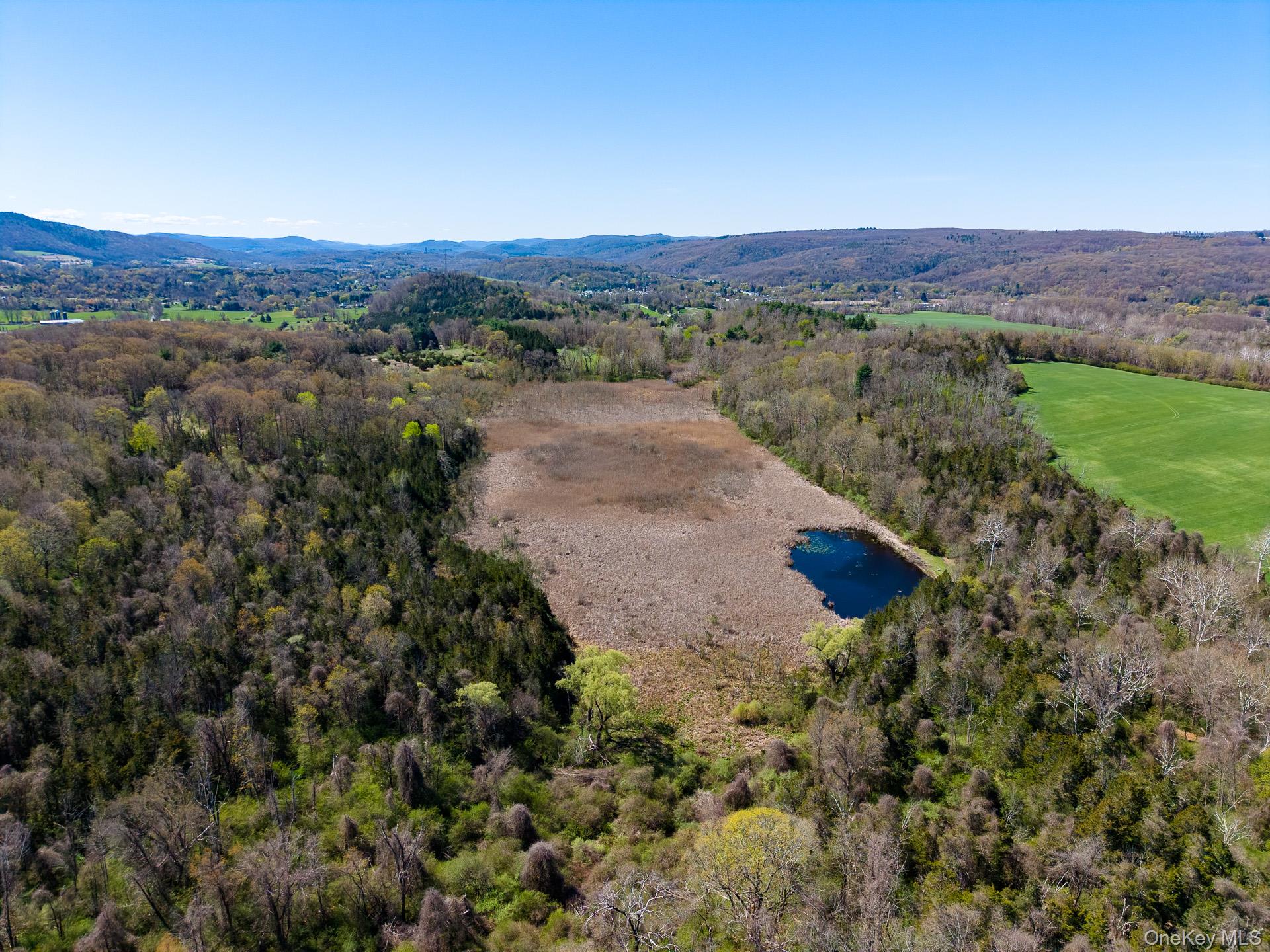 151 Benson Hill Road Wassaic, NY 12592 - Photo 37 of 45