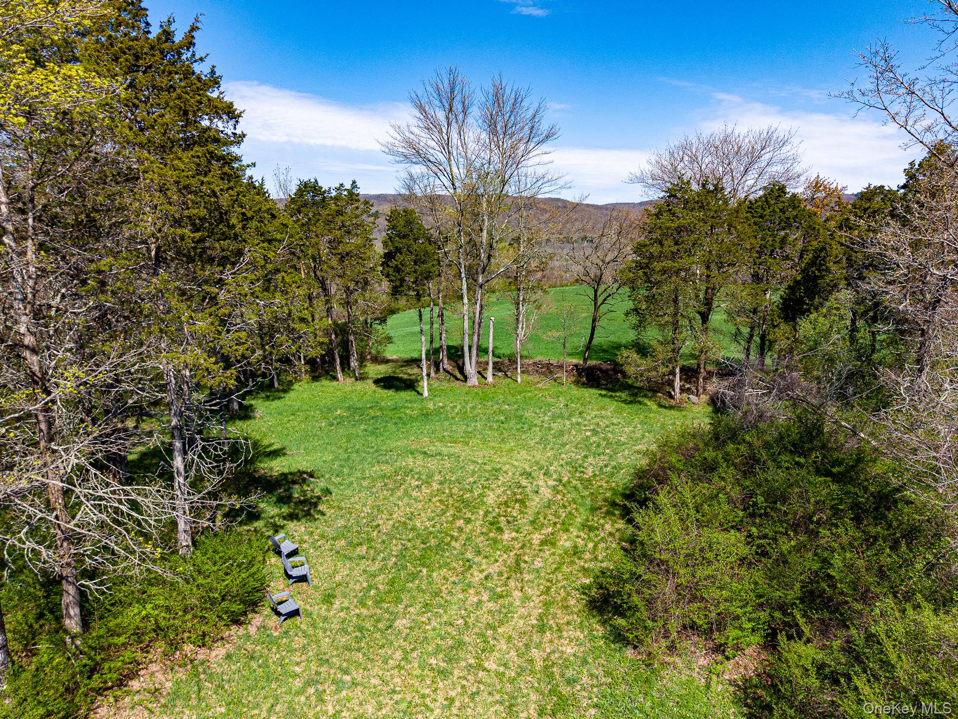 151 Benson Hill Road Wassaic, NY 12592 - Photo 38 of 45 a view of a house with a big yard