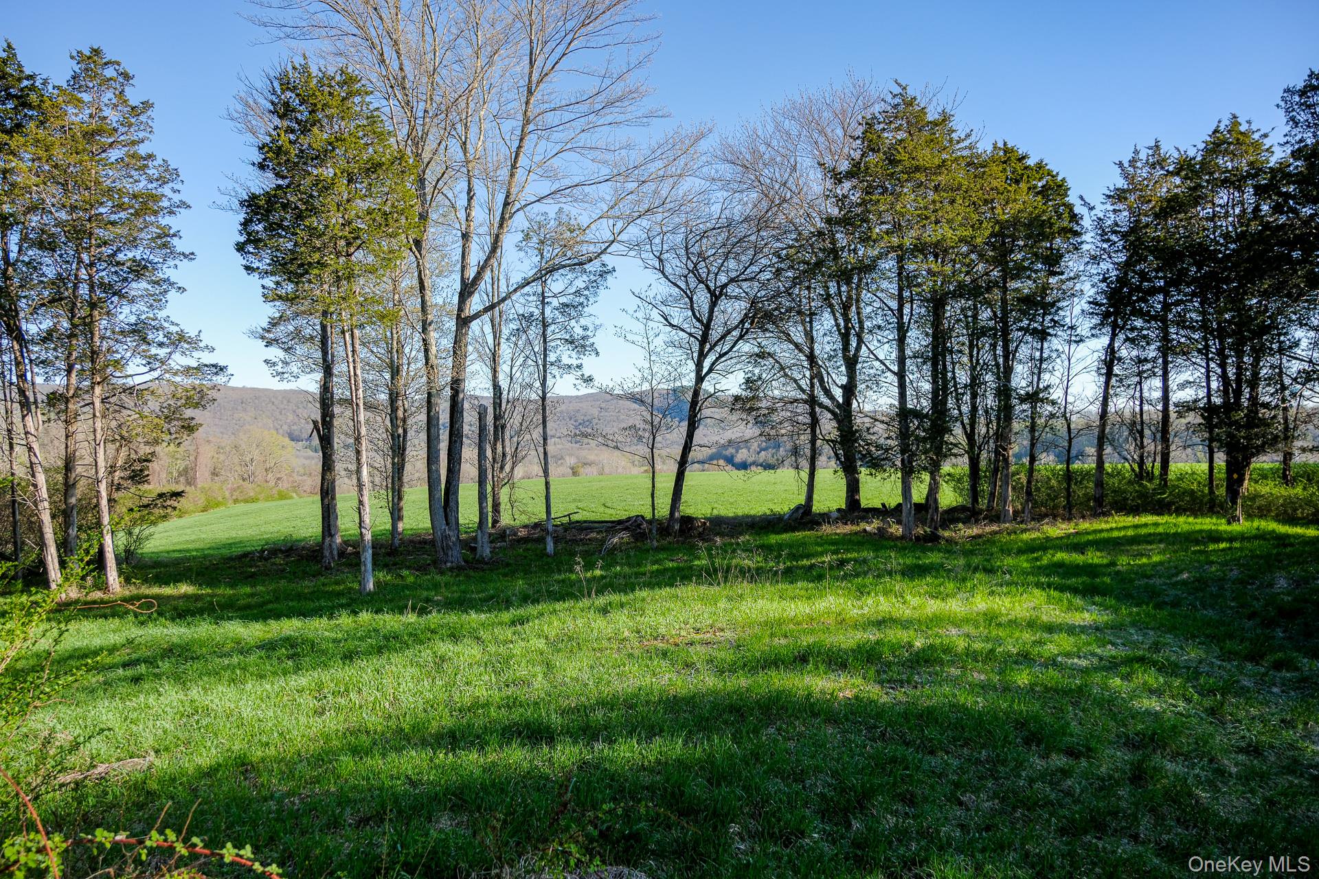 151 Benson Hill Road Wassaic, NY 12592 - Photo 39 of 45