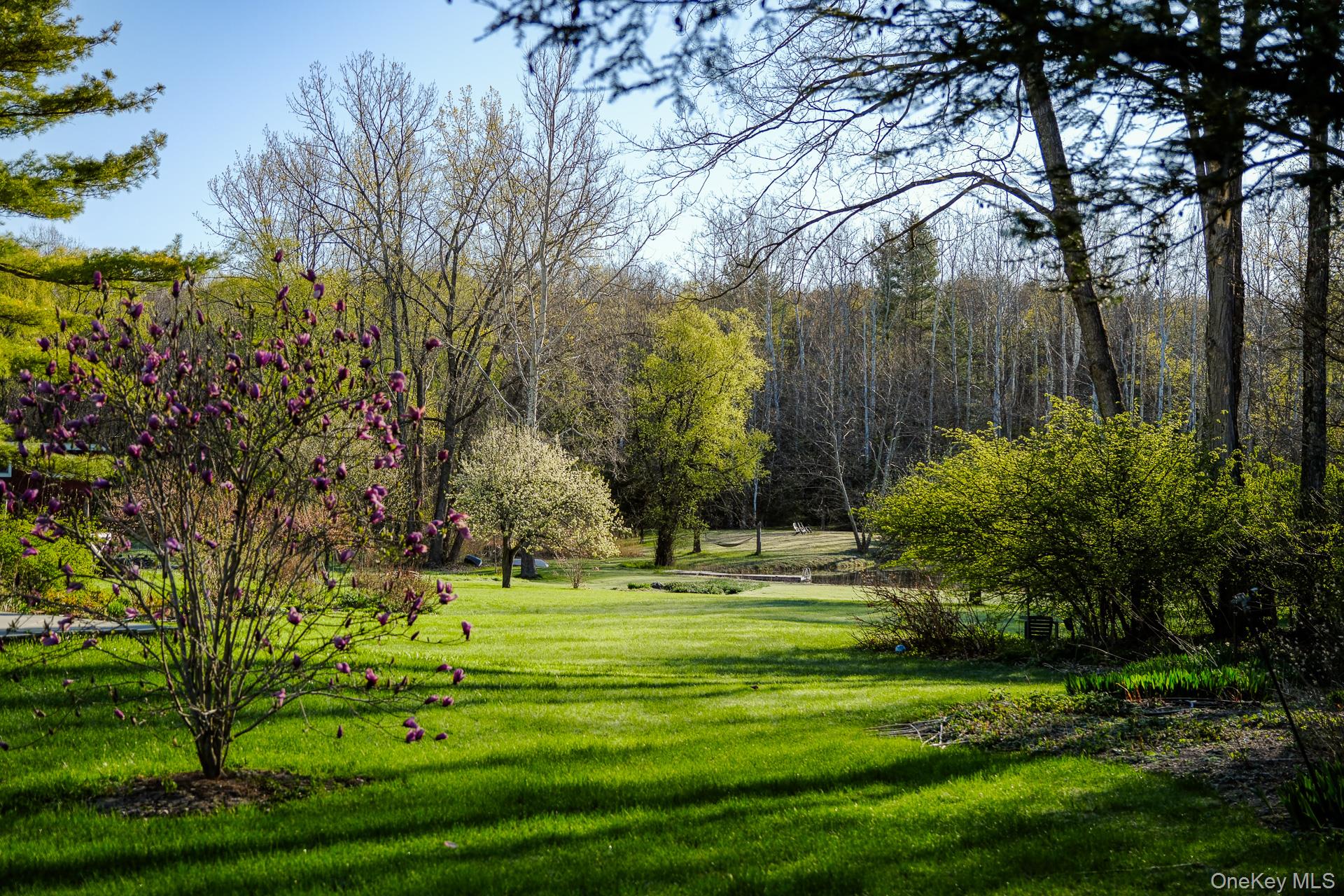151 Benson Hill Road Wassaic, NY 12592 - Photo 4 of 45