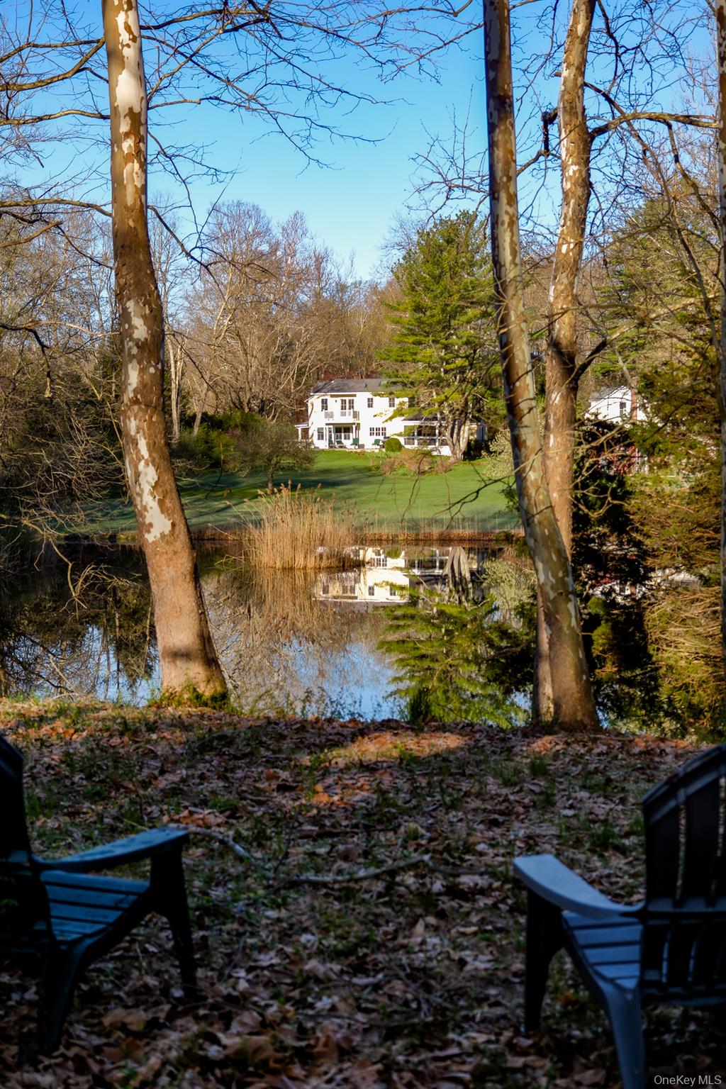 151 Benson Hill Road Wassaic, NY 12592 - Photo 41 of 45