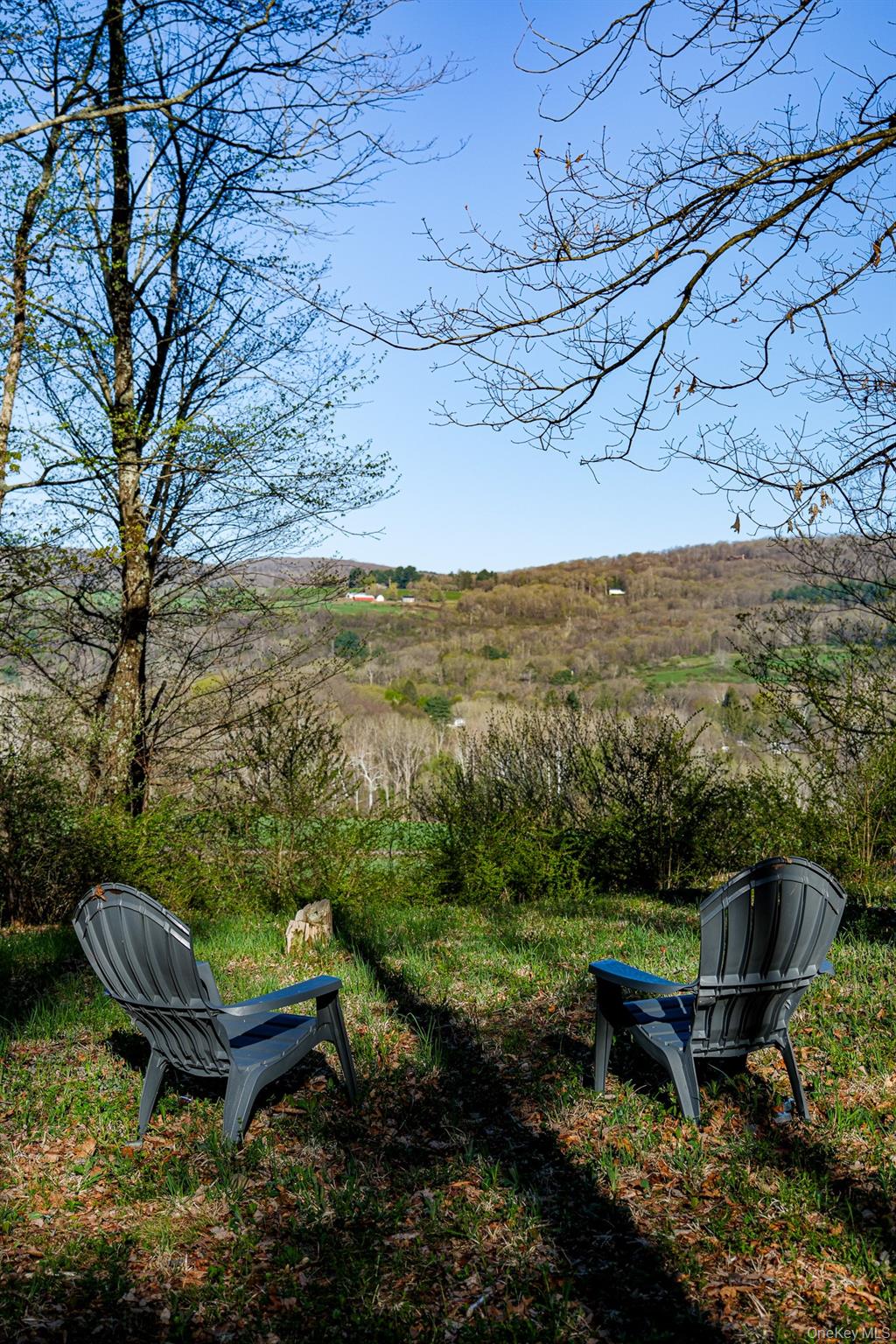 151 Benson Hill Road Wassaic, NY 12592 - Photo 10 of 45 a view of a backyard with plants and lake view