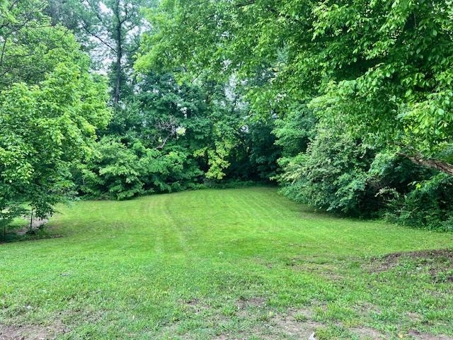 Simmons Road Munford, TN 38058 - Photo 3 of 4 View of grassy yard featuring a wooded view