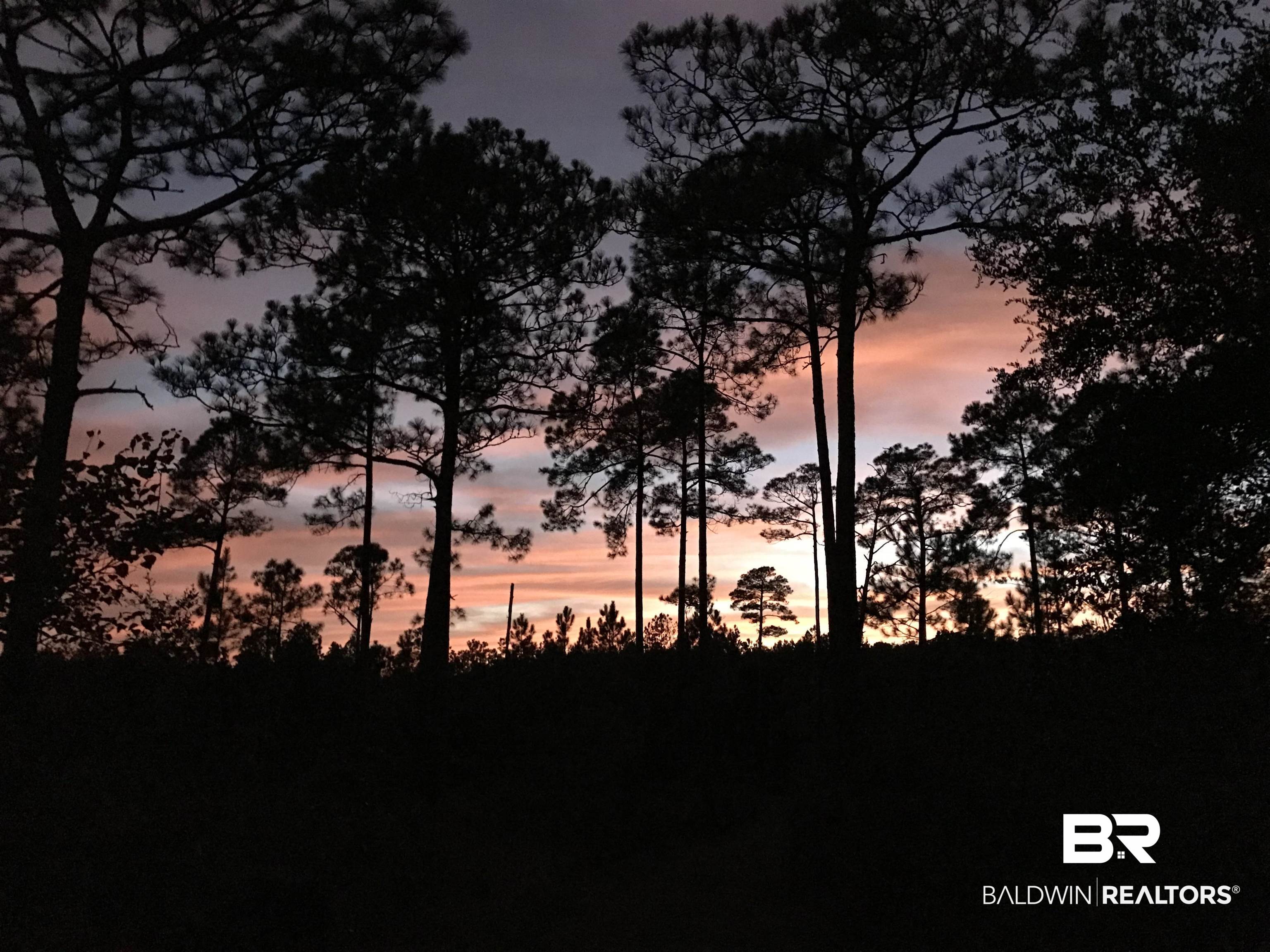 0 Red Feather Drive Seminole, AL 36574 - Photo 10 of 13