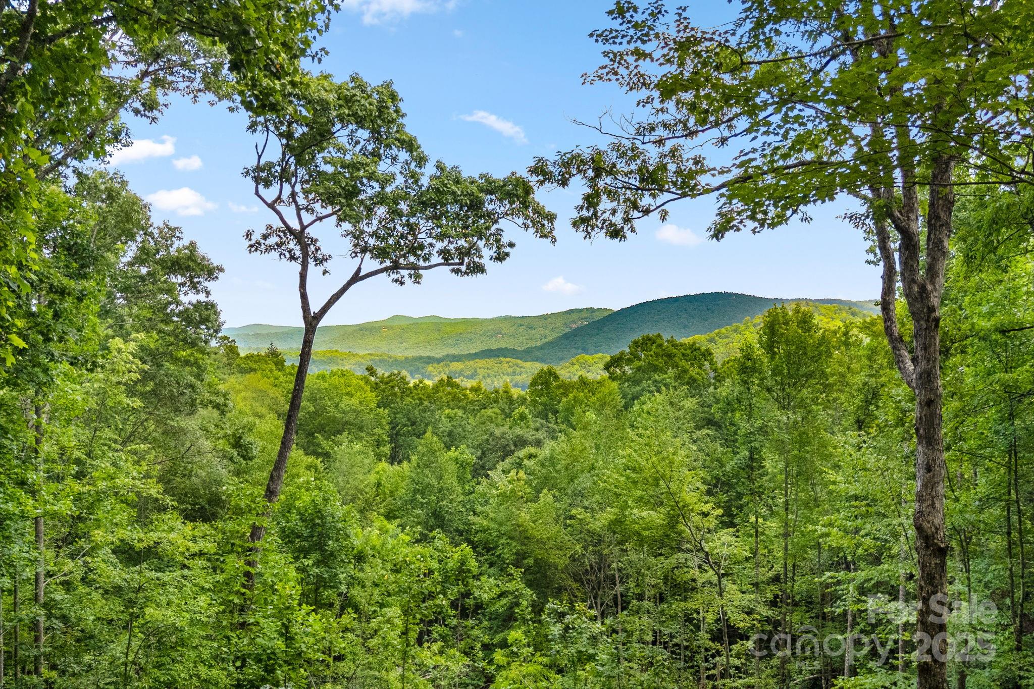 492 Henry Mountain Road Brevard, NC 28712 - Photo 46 of 48 Gallery Image 46