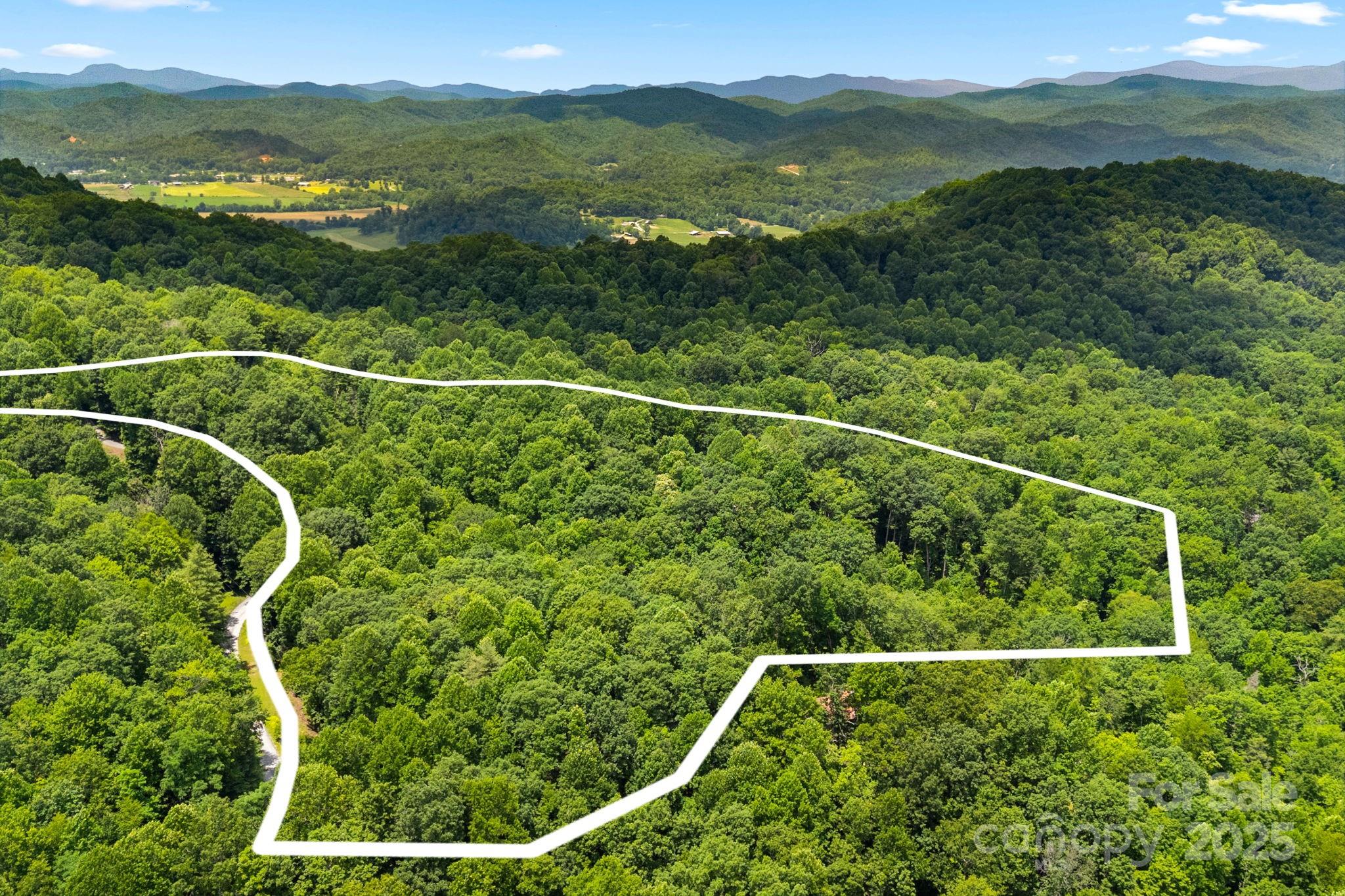492 Henry Mountain Road Brevard, NC 28712 - Photo 48 of 48 Gallery Image 48