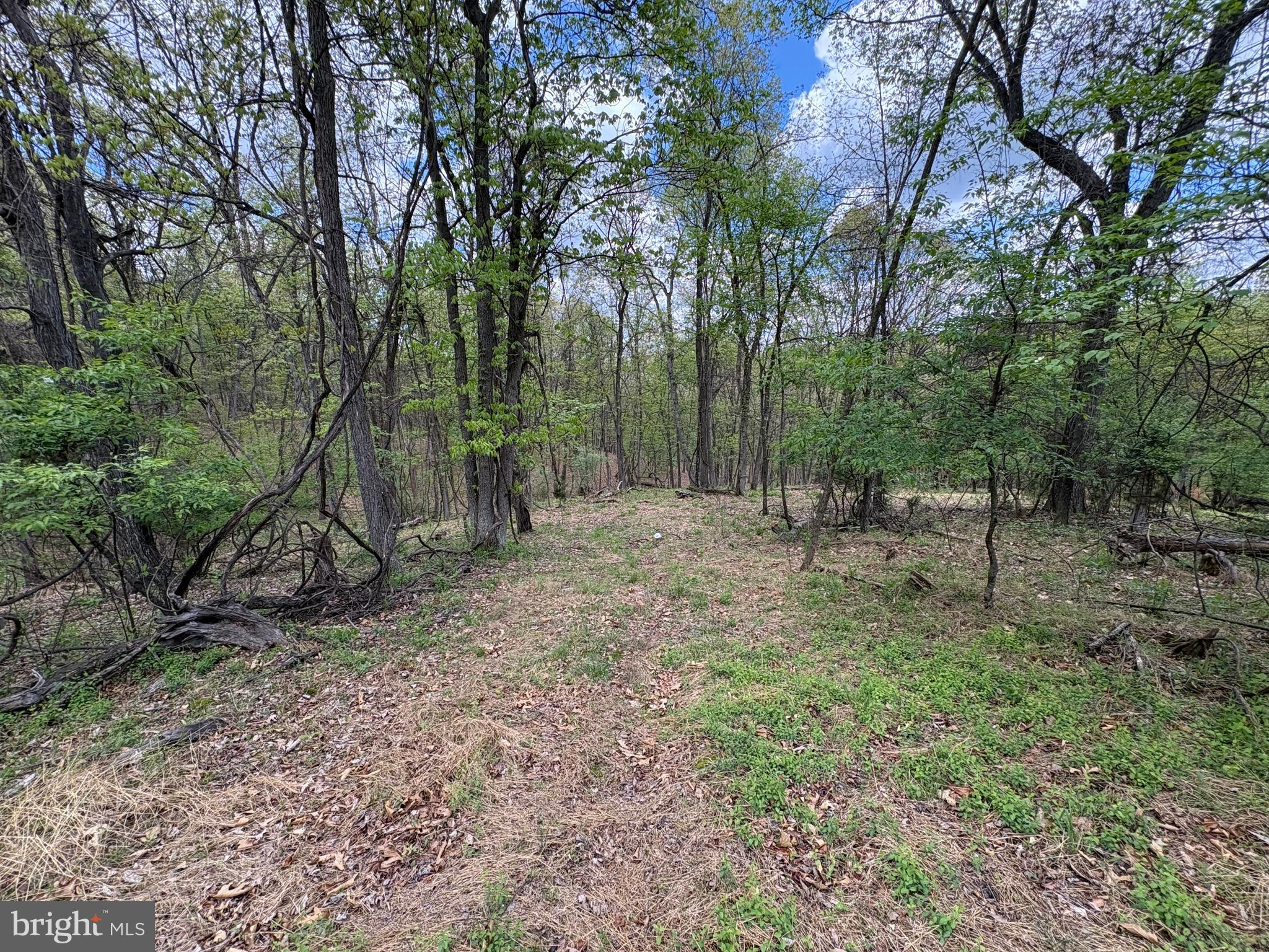 15.02-ac Beam Road Romney, WV 26757 - Photo 12 of 31 a view of outdoor space and green space