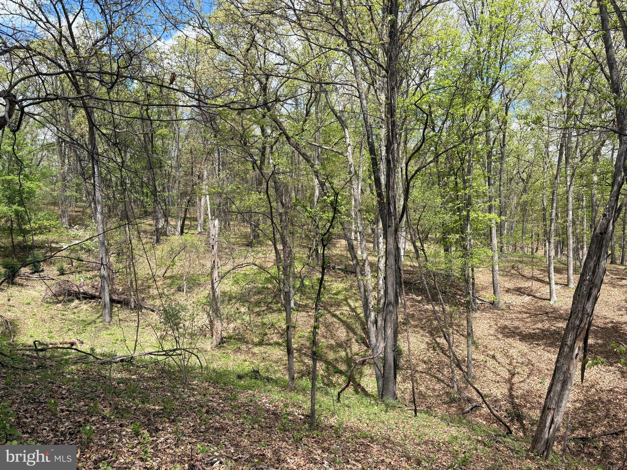 15.02-ac Beam Road Romney, WV 26757 - Photo 17 of 31 a view of a yard