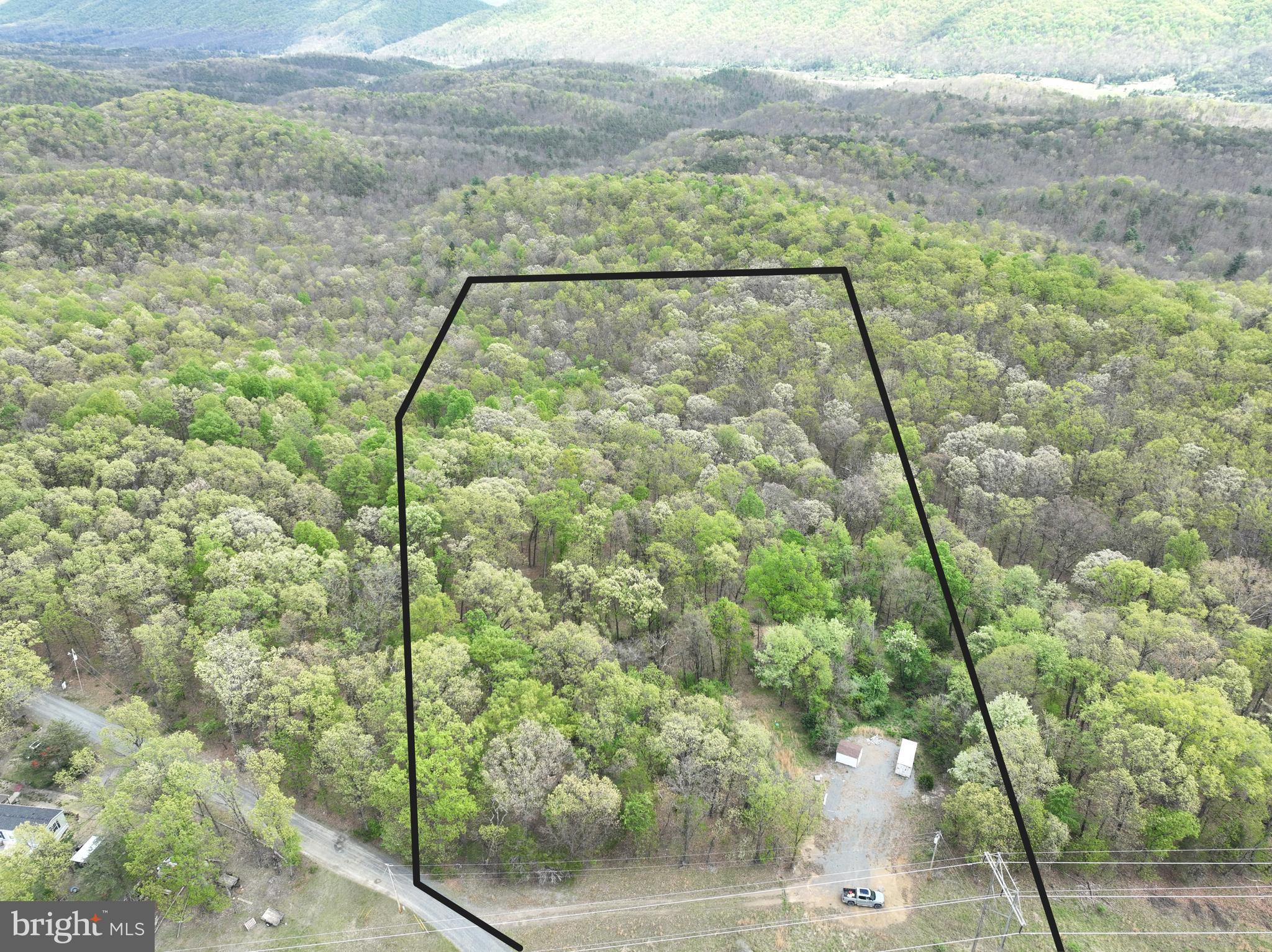 15.02-ac Beam Road Romney, WV 26757 - Photo 2 of 31 a view of a dry yard
