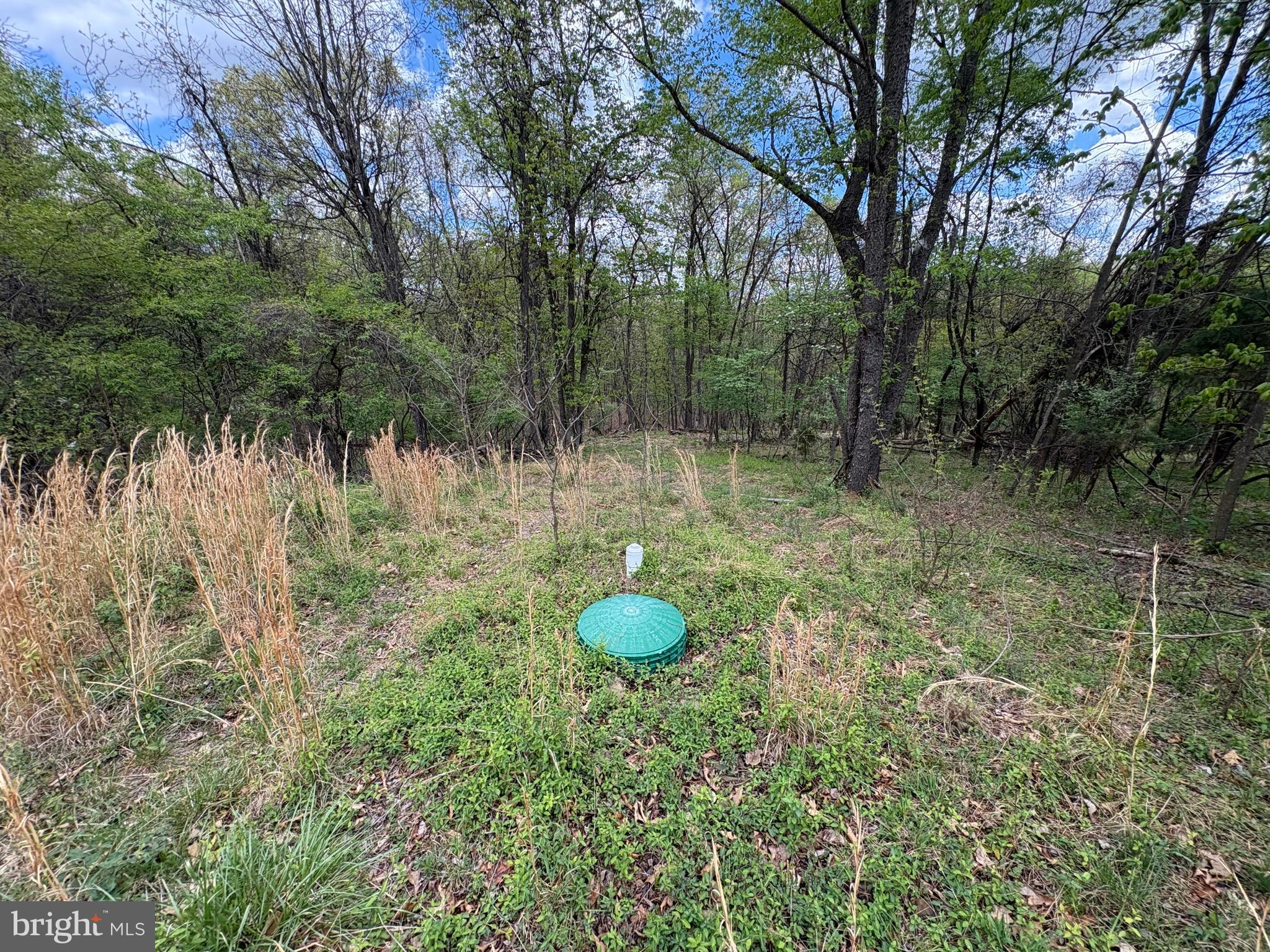 15.02-ac Beam Road Romney, WV 26757 - Photo 7 of 31 a backyard of a house with lots of green space