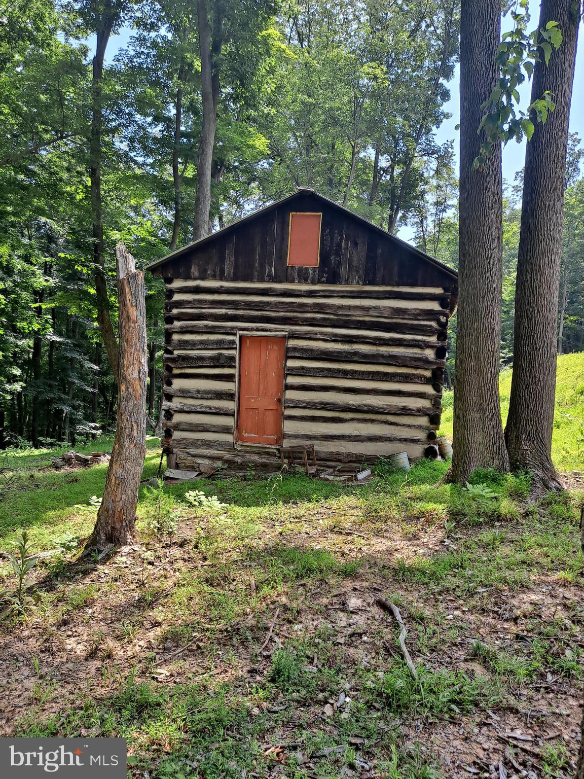 1079 Little Mountain Road Cabins, WV 26855 - Photo 27 of 50 a front view of a house with a garden
