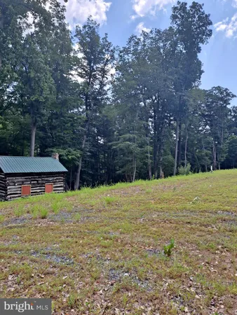 a view of a backyard with large trees